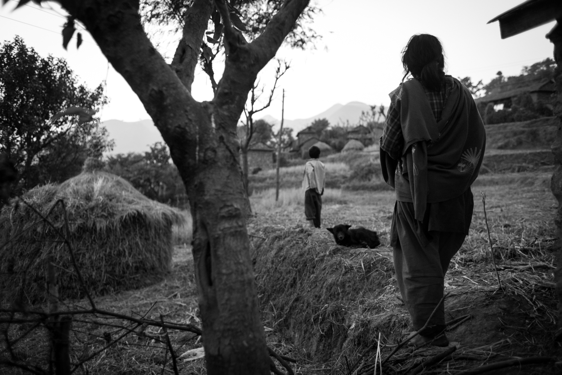 Chanamati Maggrati and her son call their pig in the evening as they are afraid to go towards the other houses in
the village. 17 December 2013, Dhading, Nepal.