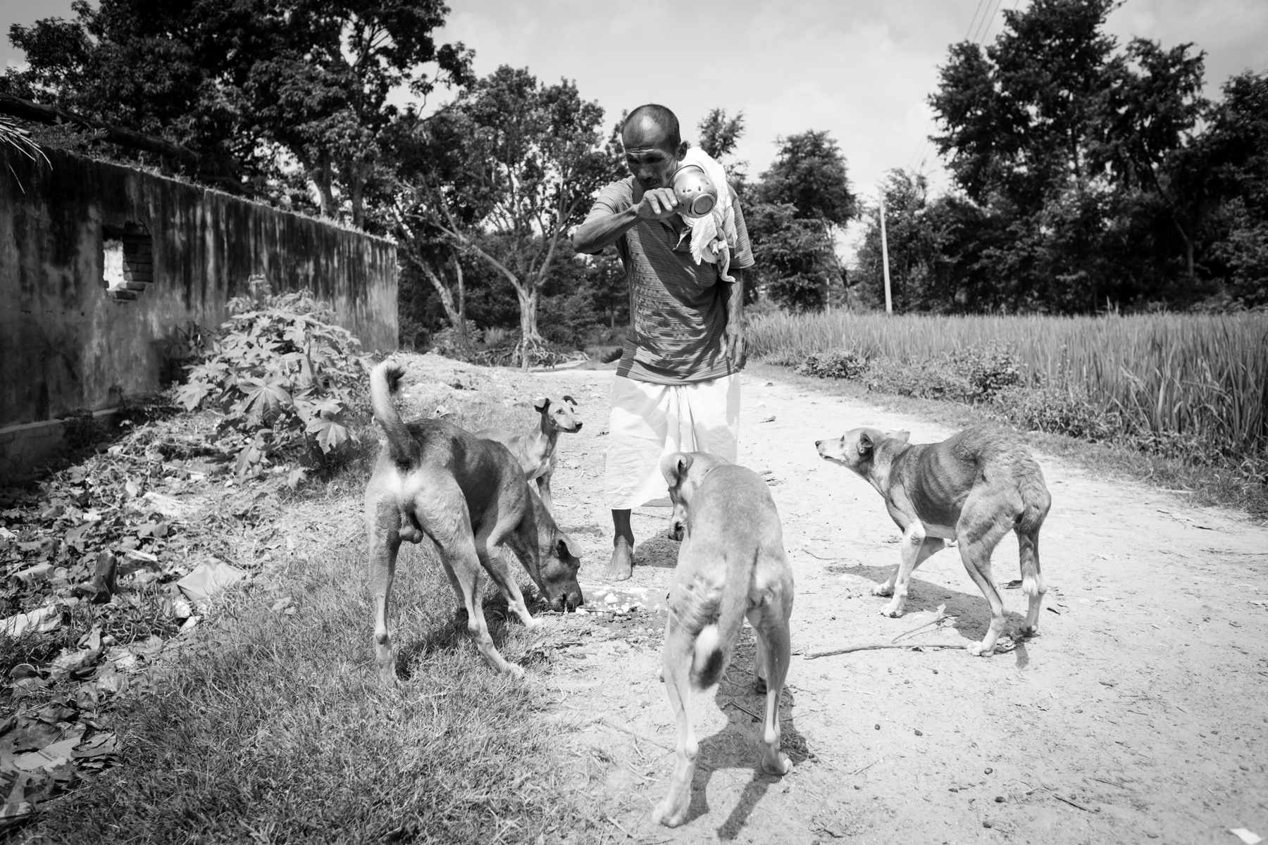 Bhagan Chaudhary chases away dogs who try to eat the food offered to his wife's soul. 24 August 2013, Supauli, Parsa, 
Nepal.